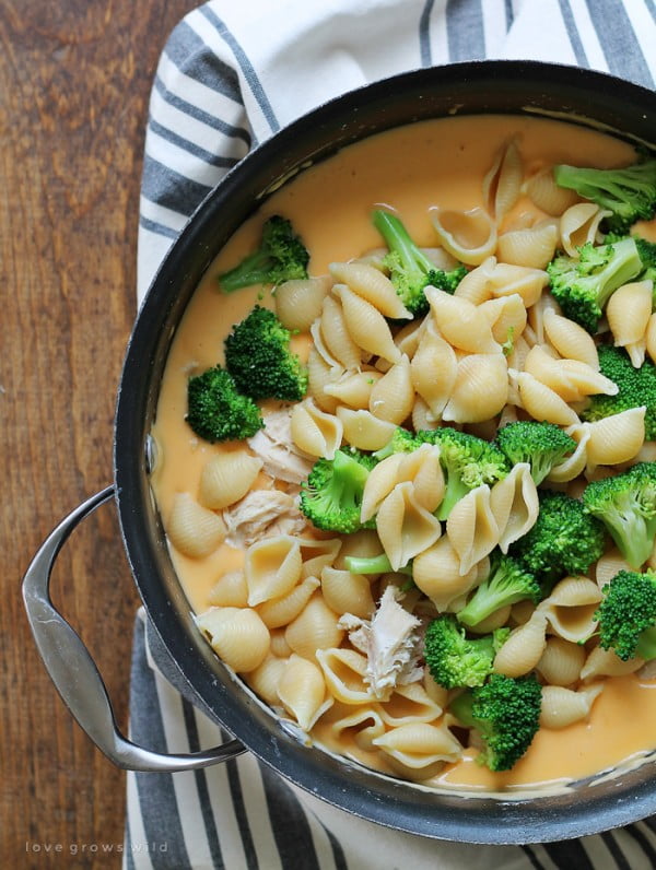 Chicken and Broccoli Shells and Cheese - Love Grows Wild #dinner #recipe #smalldinner