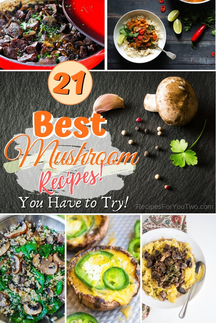 You have to try some of these amazing mushroom recipes. These are the best recipes ever! #mushrooms #food #recipe #dinner