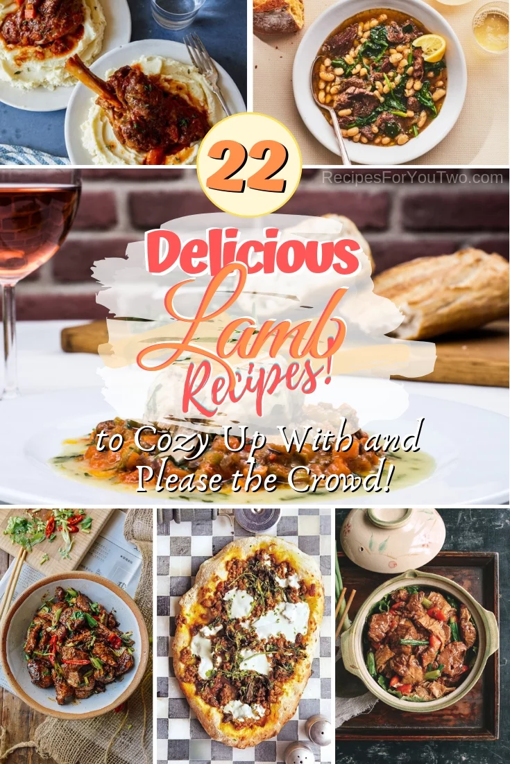 These lamb dinner recipes are amazing to cozy up with as well as please the crowd. Great recipe ideas! #lamb #dinner #meat #food #recipe