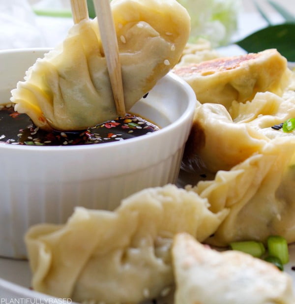 Vegan Vegetable Dumplings #dumplings #dinner #recipe